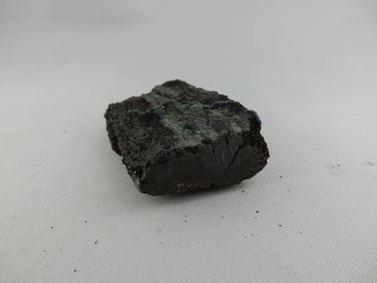 Petrified Wood - Silver RARE