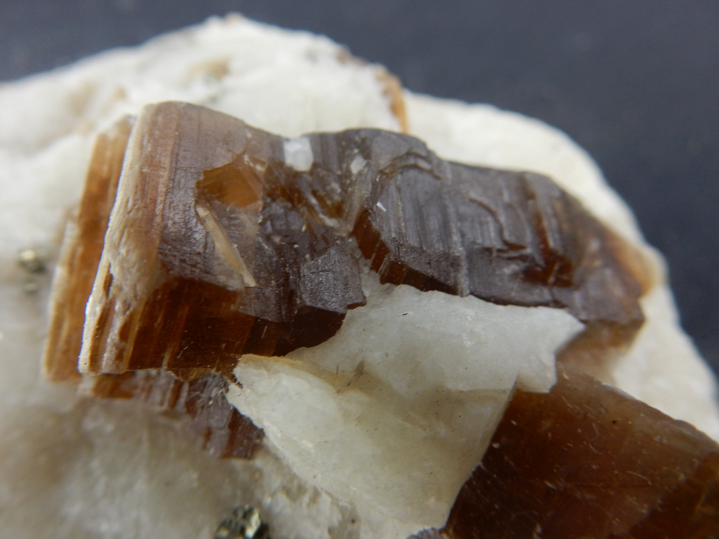 Phlogopite on Marble