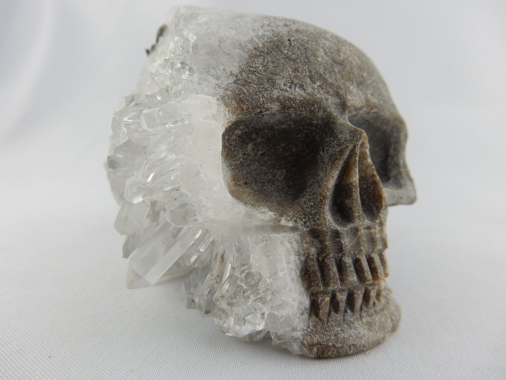 Crystal skull with amazing dreams (or headache) on one side of brain