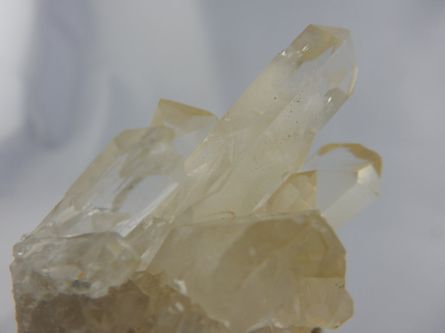 Crystal Skull