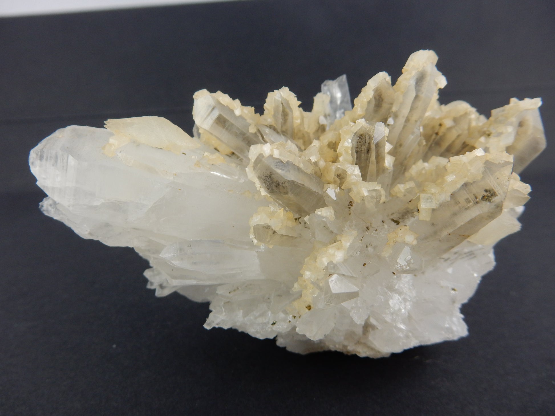 showy radiating cluster of many terminated quartz crystals - "coated" one side with Ankerite - with a few double-term calcites also