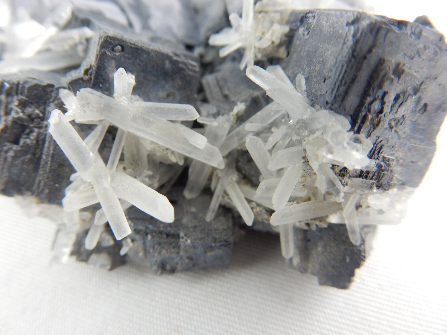 Galena and Quartz