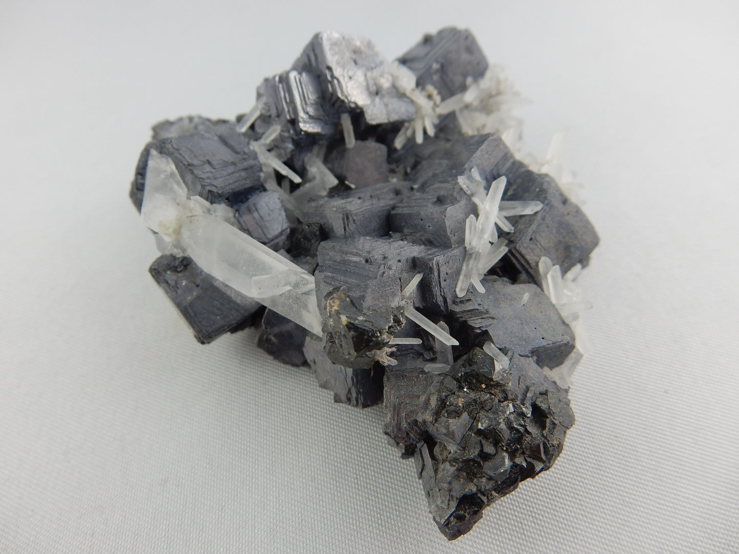 Galena and Quartz