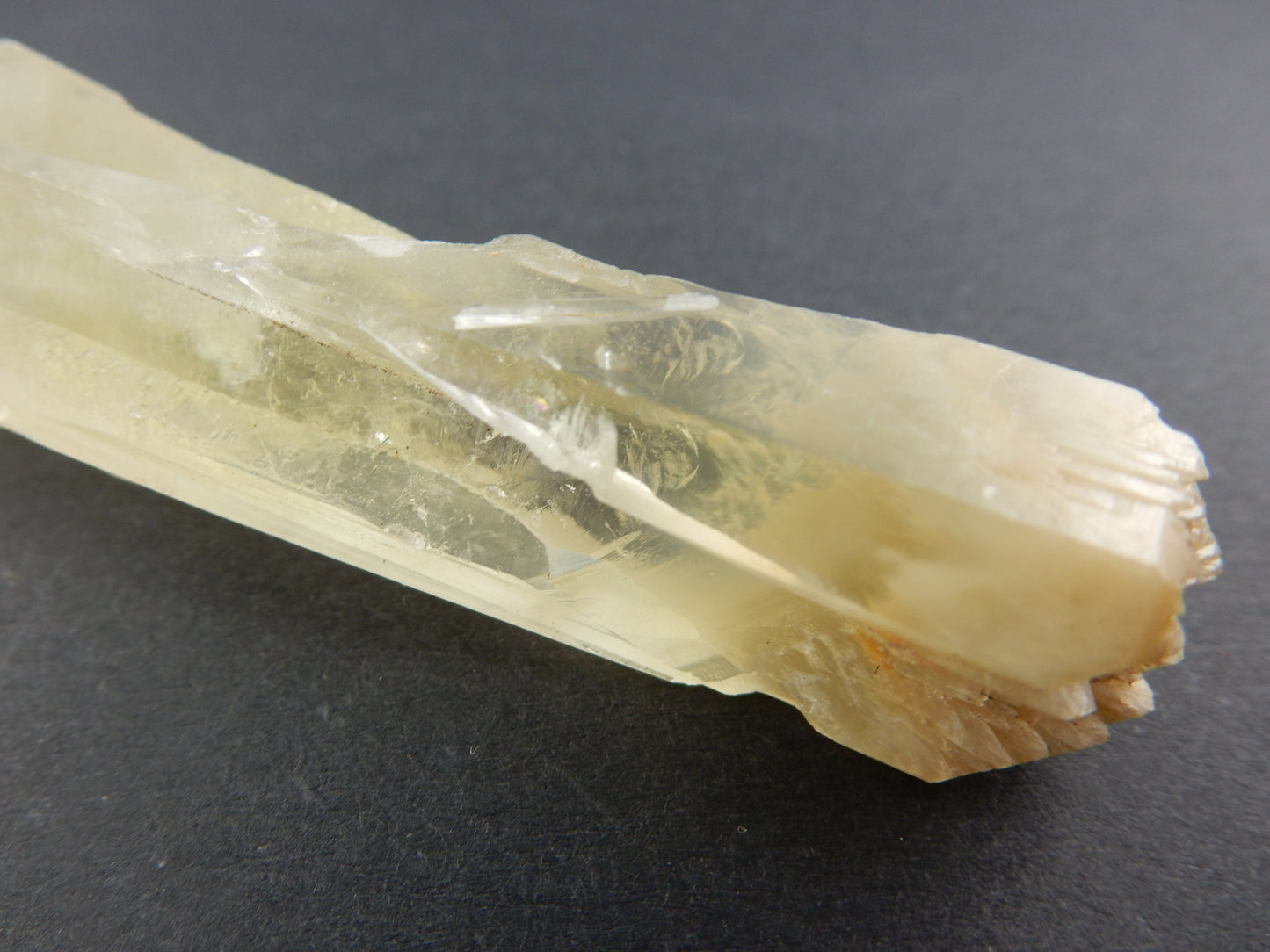 Amphibole Quartz