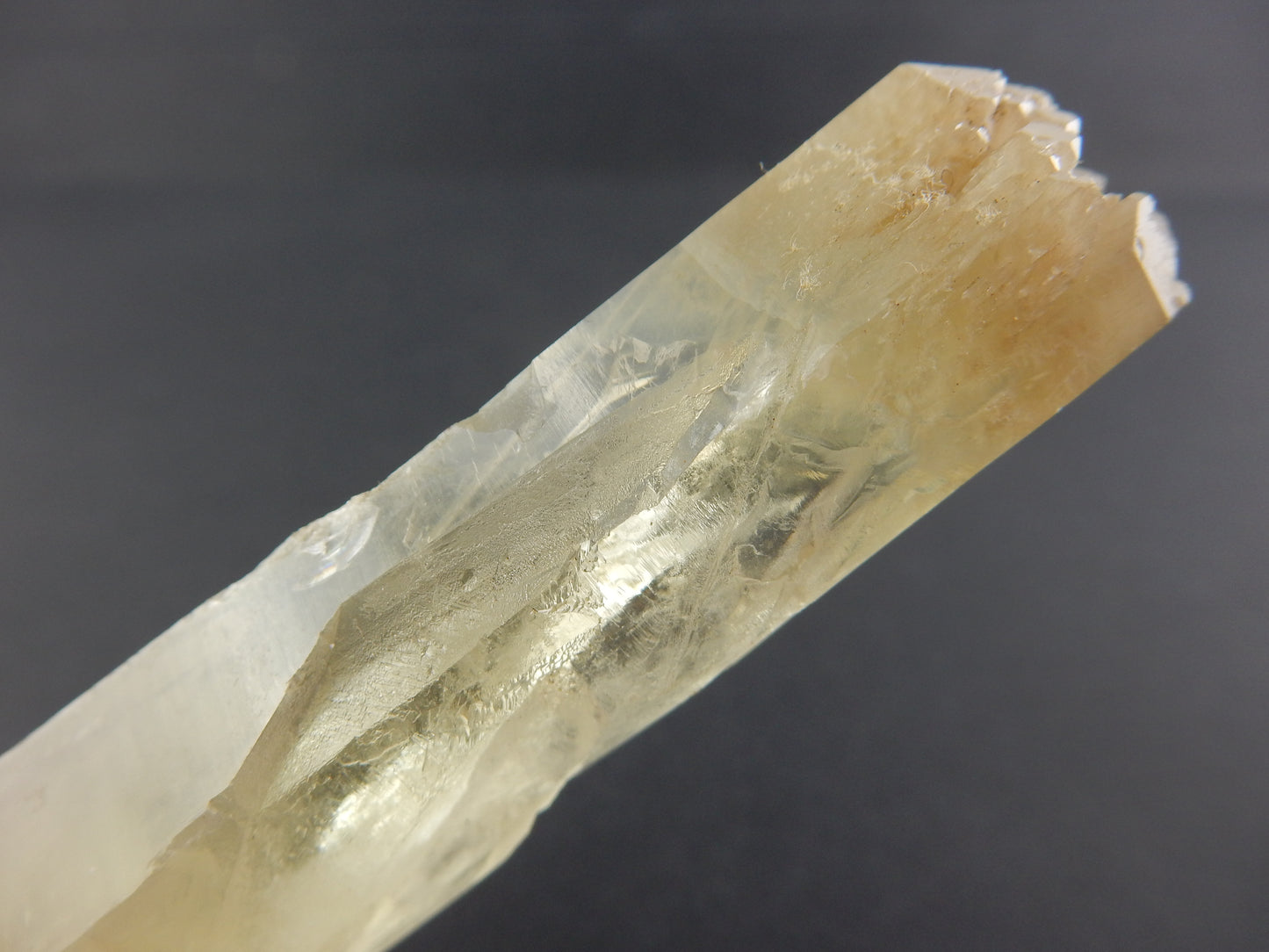 Amphibole Quartz