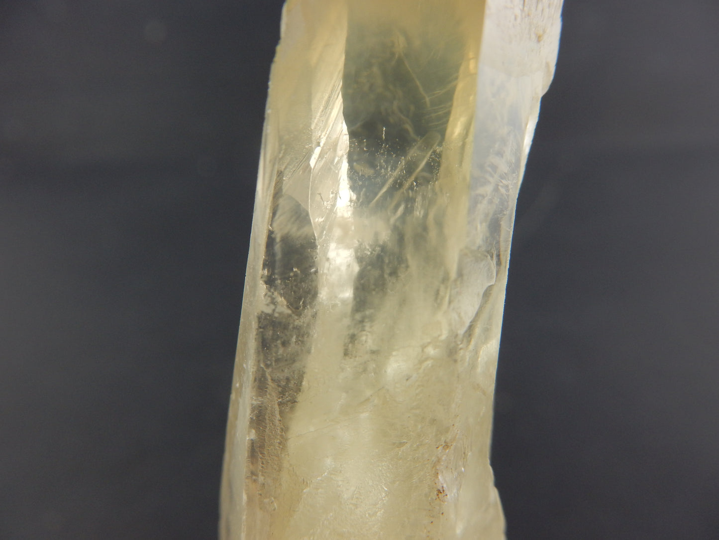 Amphibole Quartz