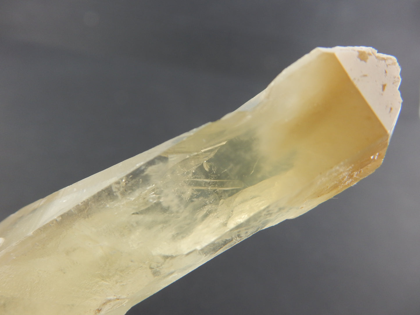 Amphibole Quartz