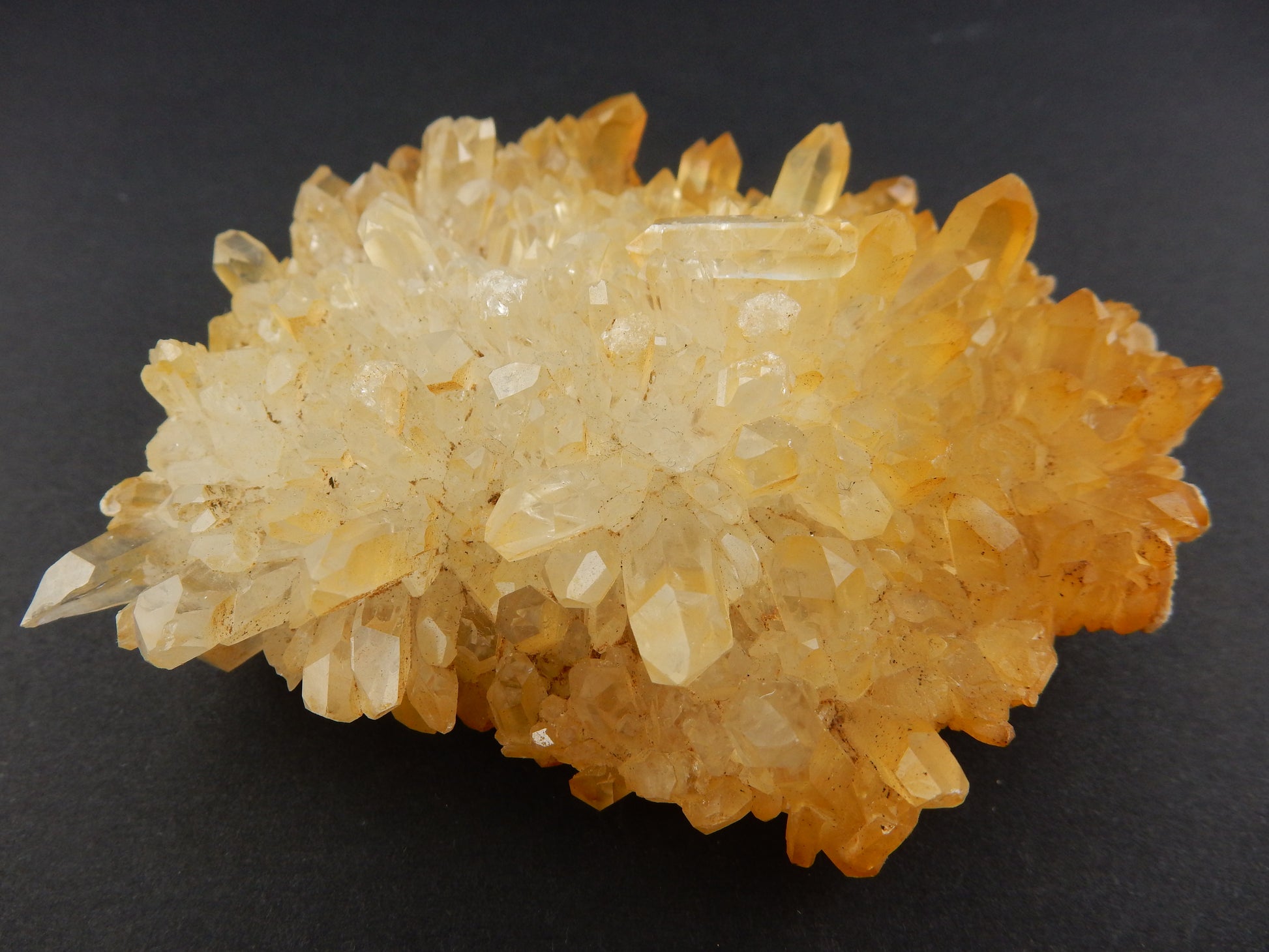 gemmy plates of 100's of terminated and double-term citrine quartz iron-costed points nestled in a bed