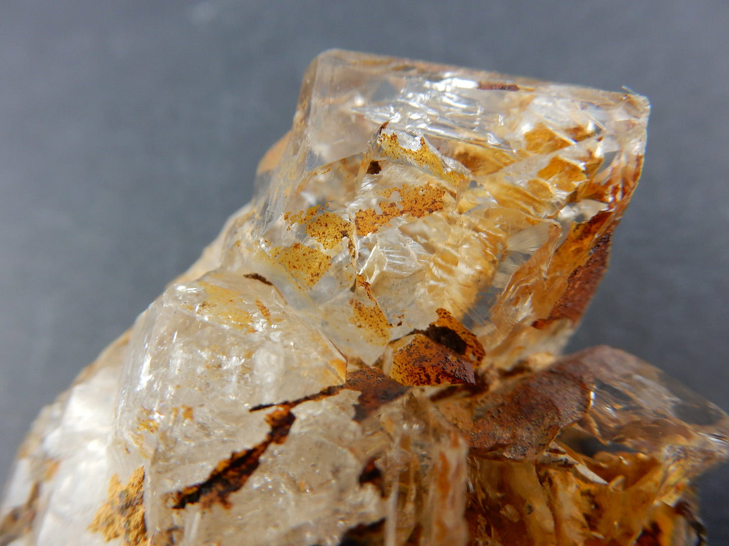 Fenster Quartz
