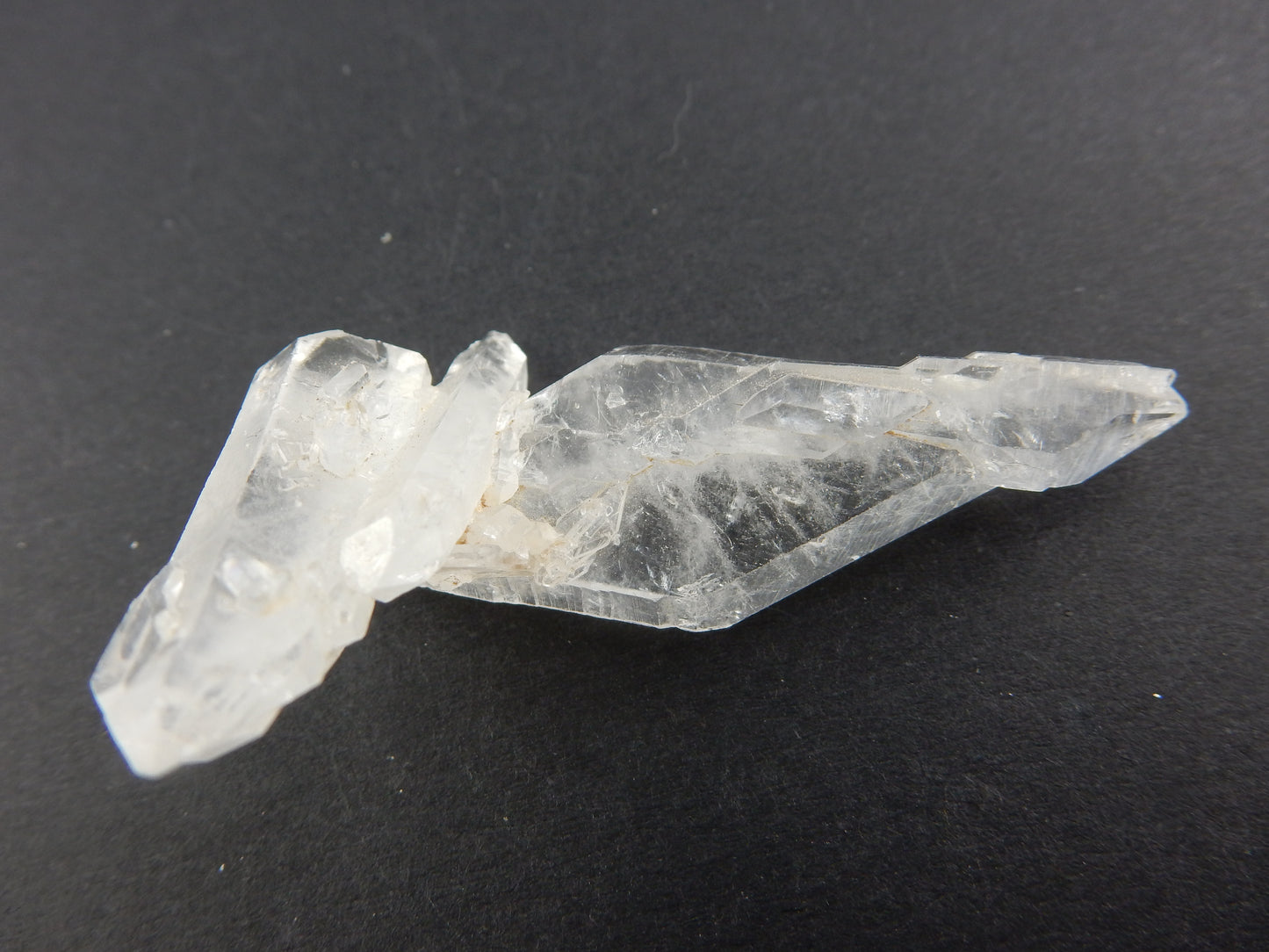 Faden Quartz DT "Floater"