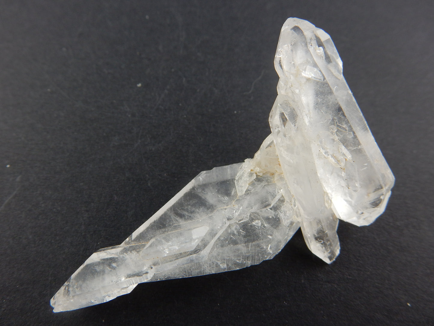 Faden Quartz DT "Floater"