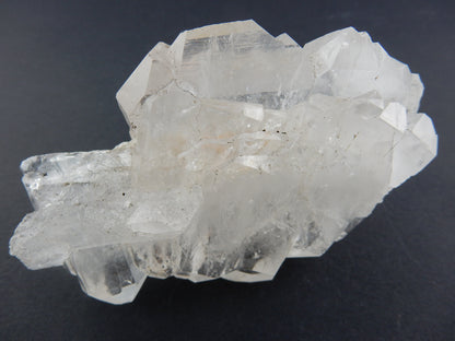 Faden Quartz Big "Twin-Twin"