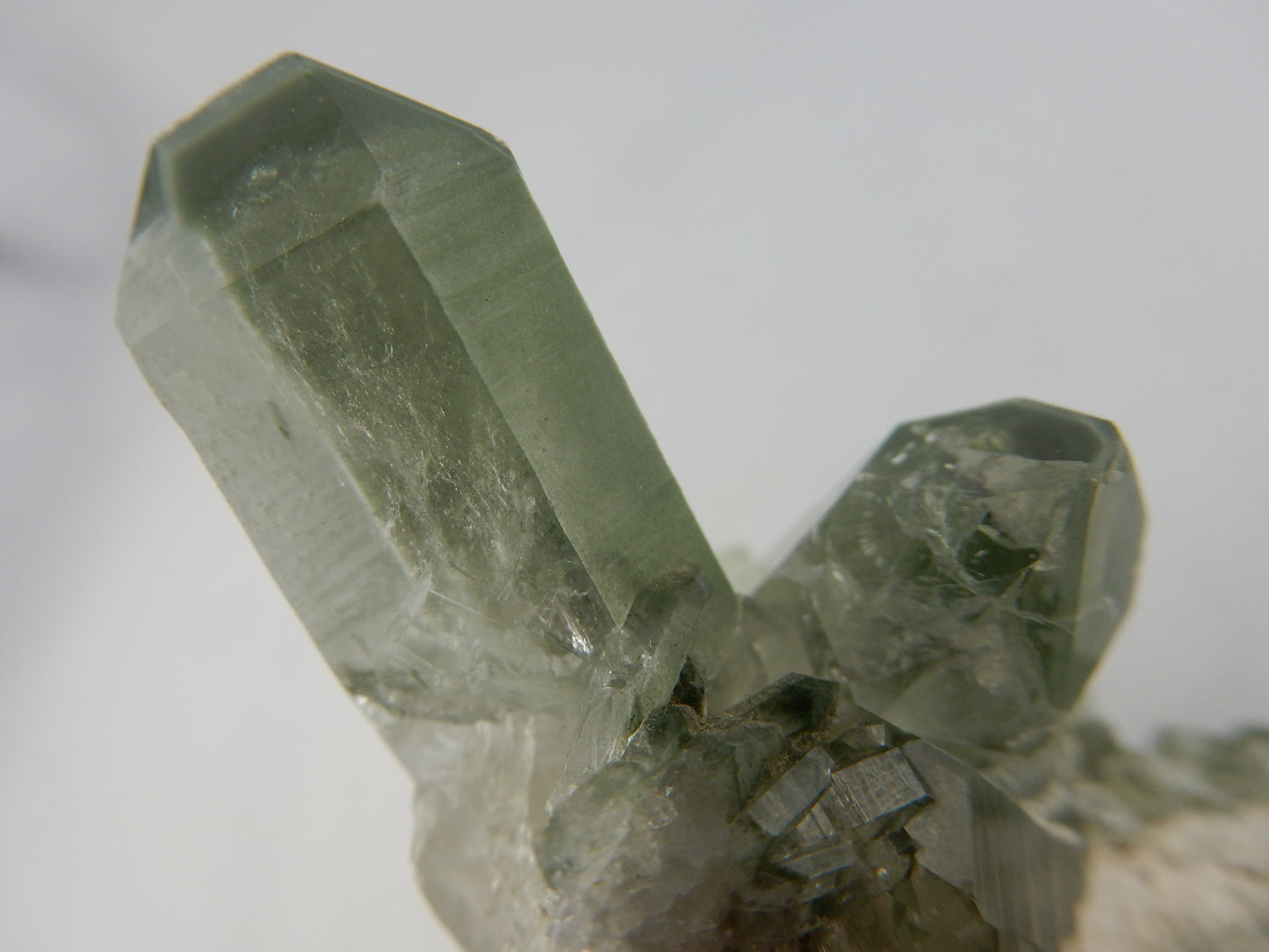Chlorite Quartz