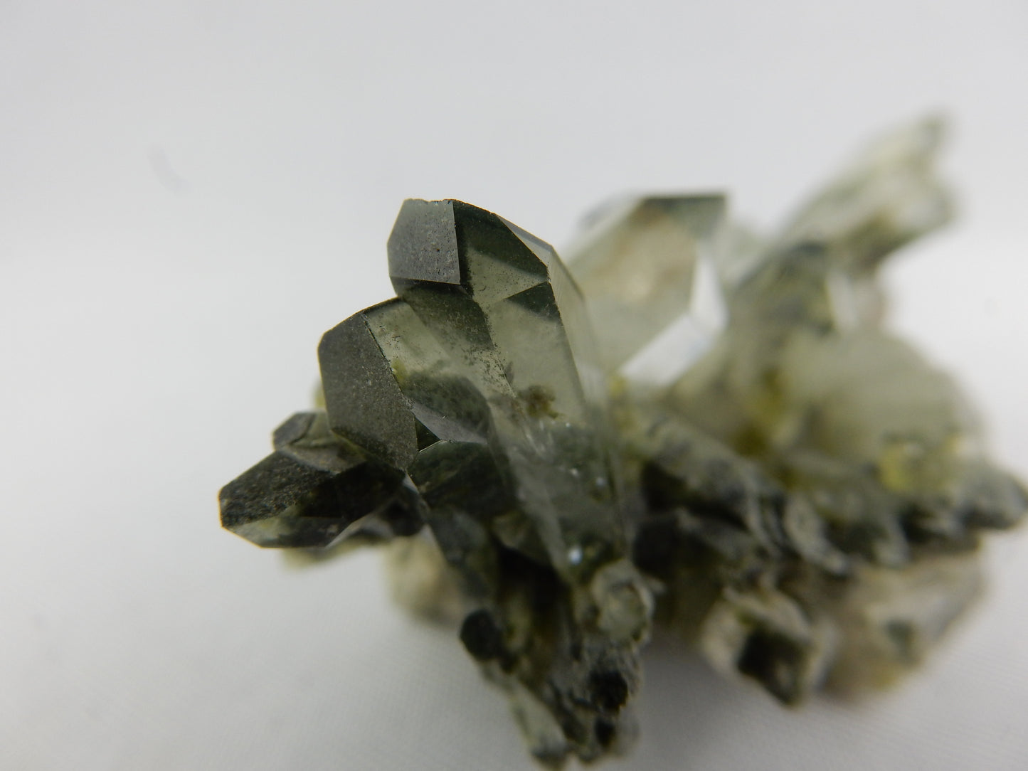 Chlorite Quartz