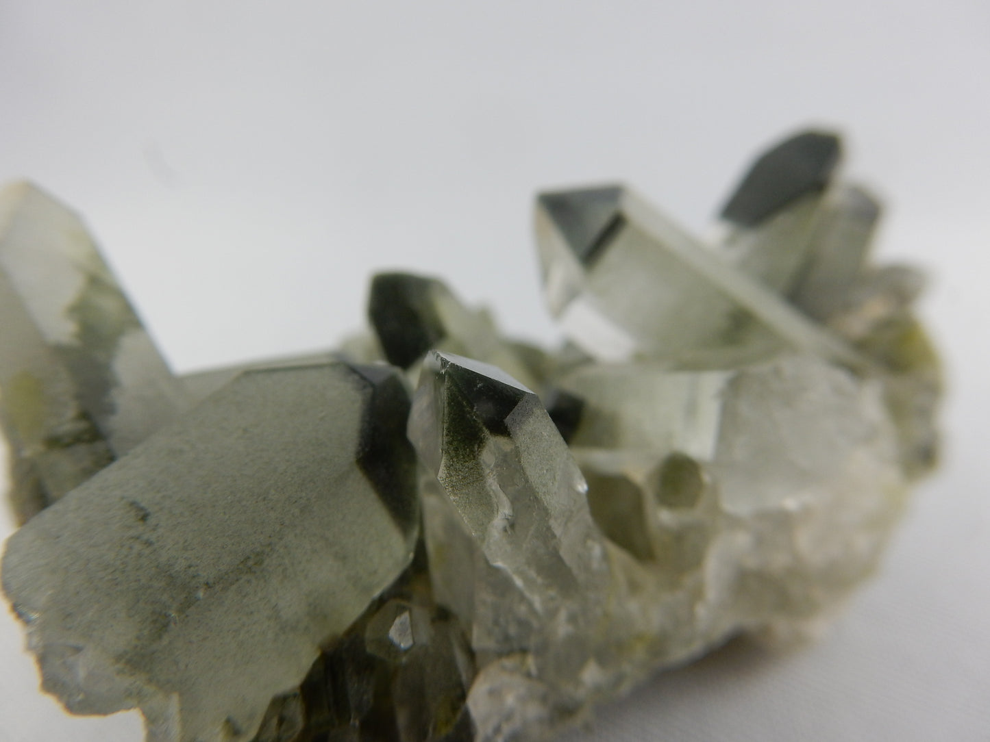 Chlorite Quartz