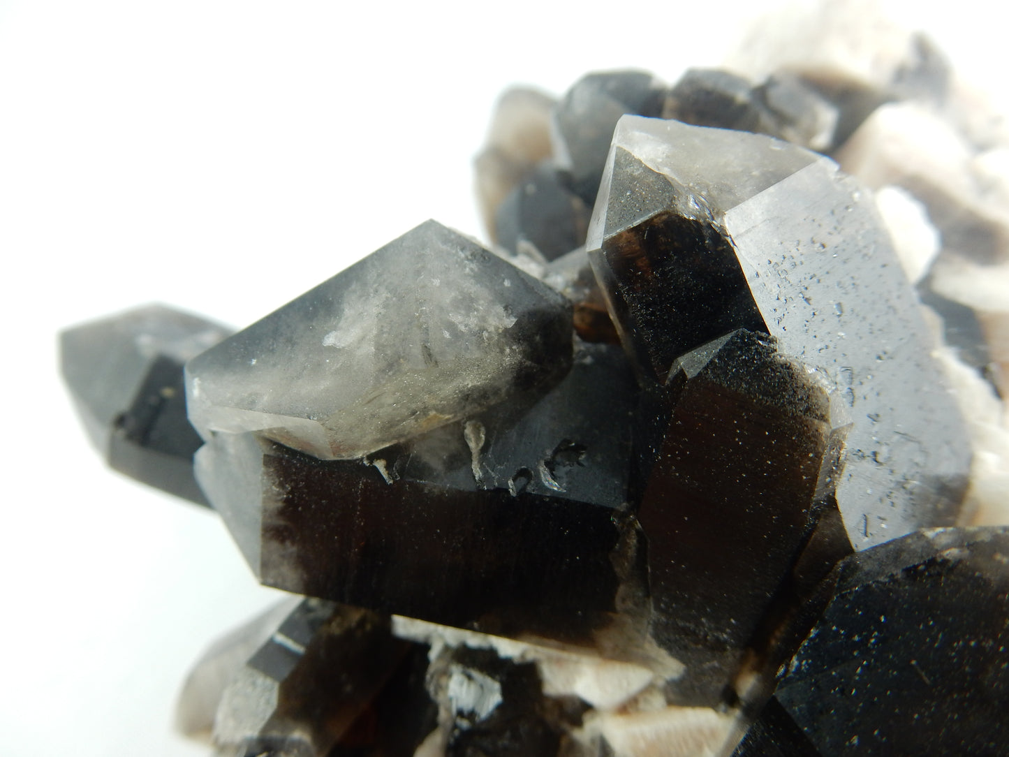 Quartz - smoky "Morion" Cluster