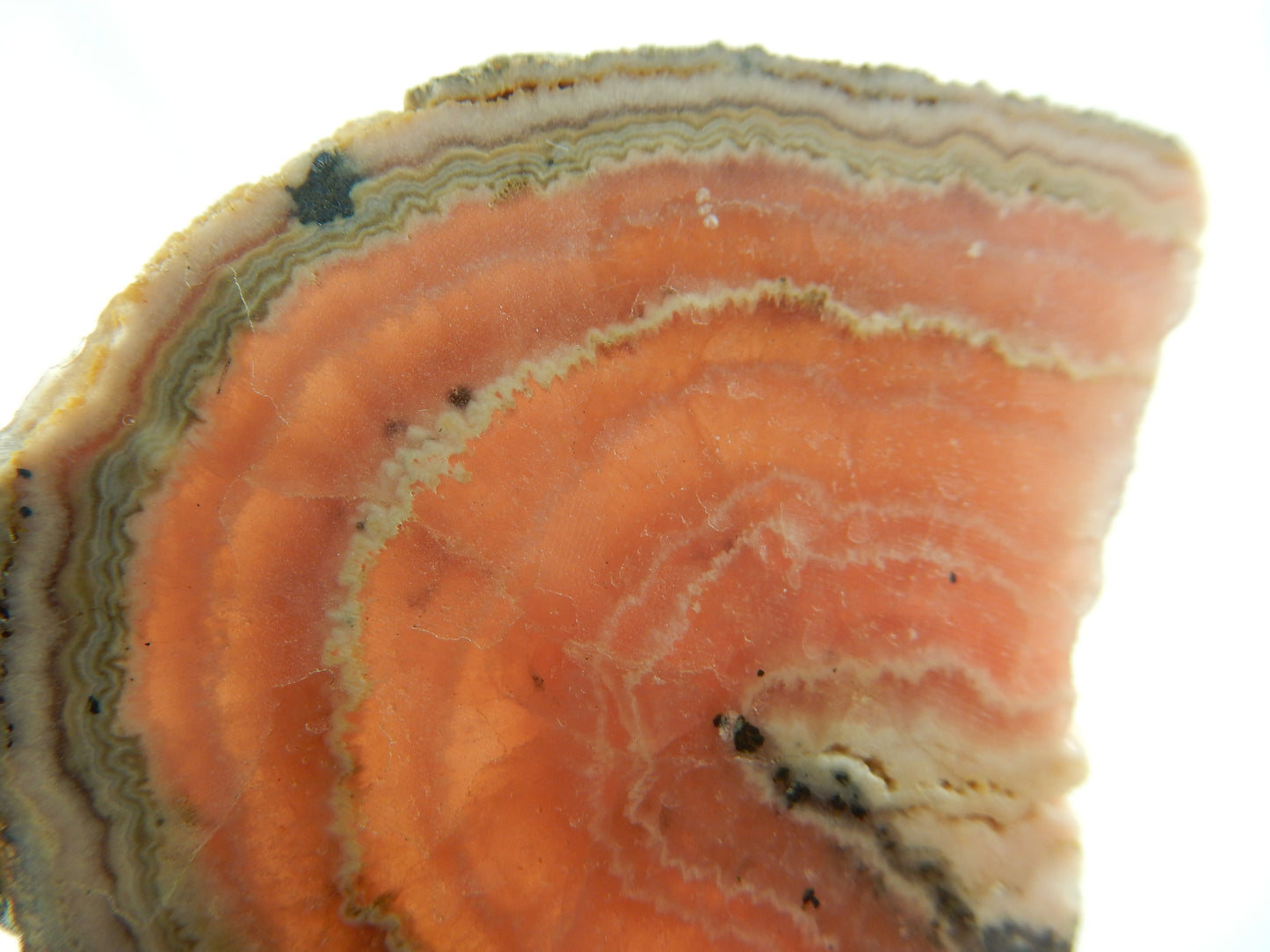 Rhodochrosite Stalactite Slab