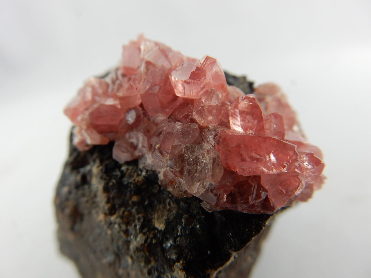 Rhodochrosite