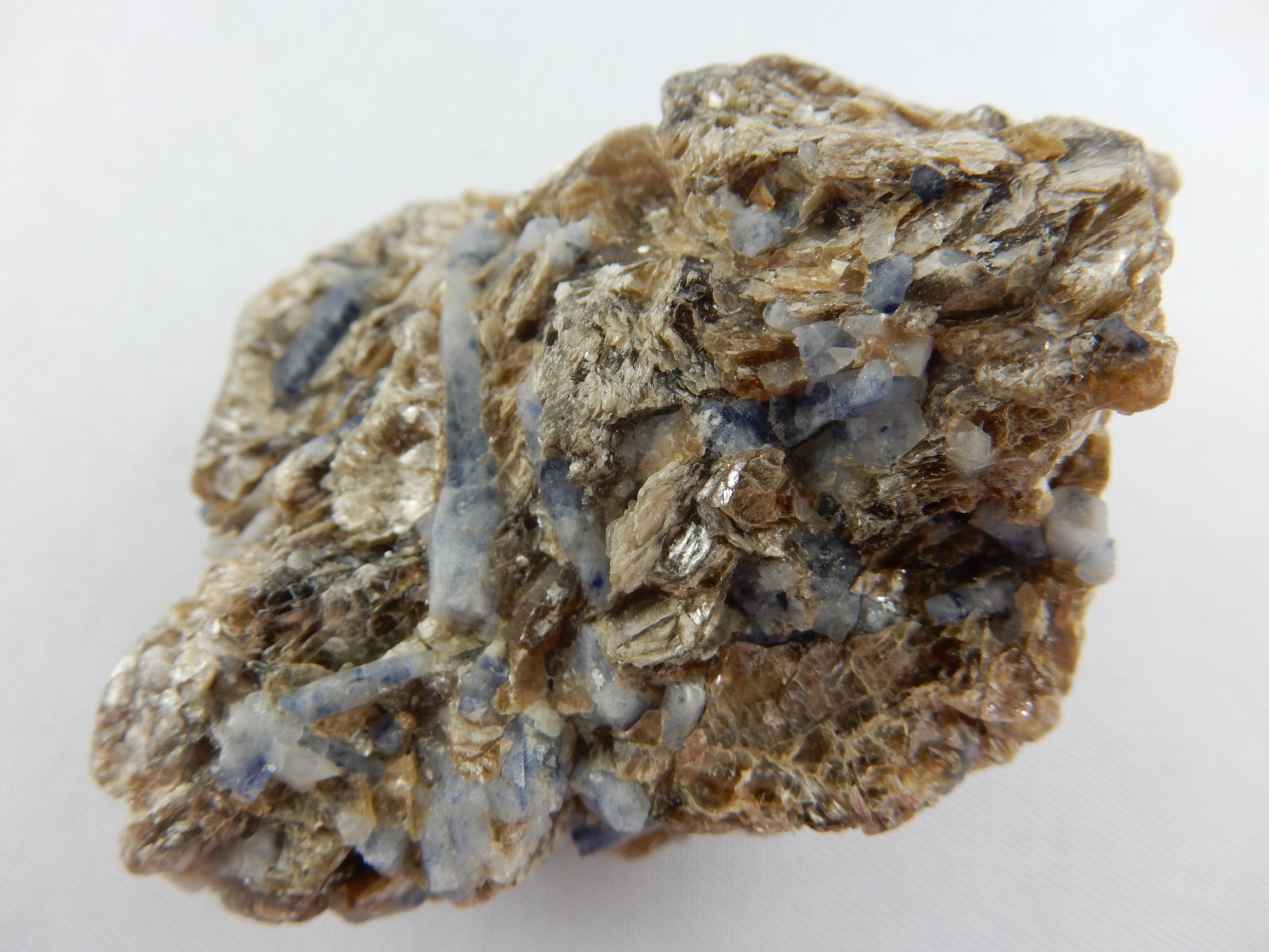 multiple deep blue/white Shappire scaledahedron double terminated crystals "floating" in a bed of sparkly muscovite