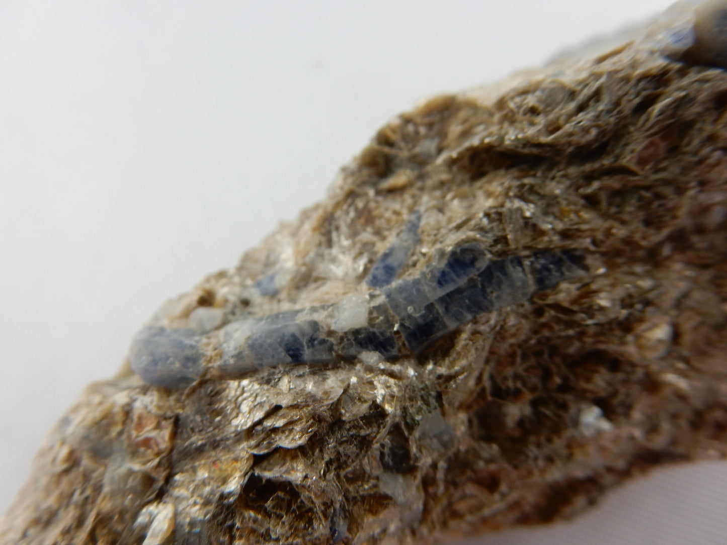 Blue Sapphire on Muscovite