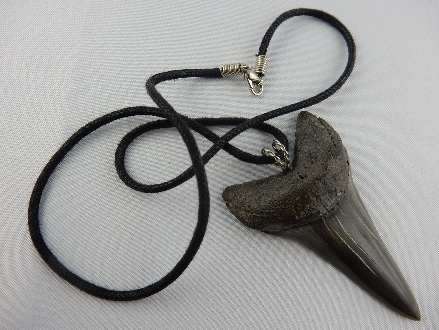 Simple PERFECT grey-blue classic Mako knife-shape with sharp serrations - black leather necklace - 30 million years old