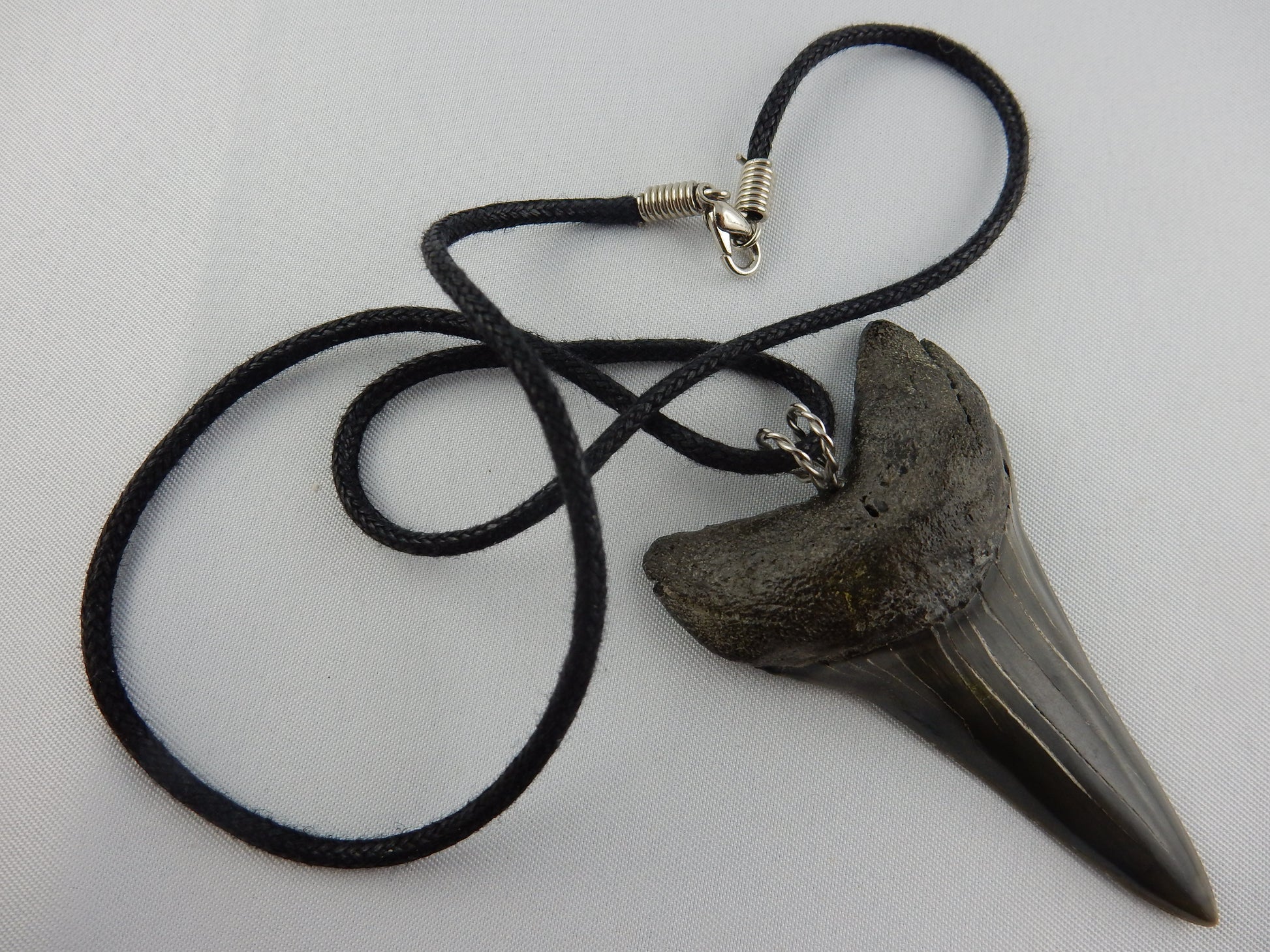 Simple PERFECT grey-blue classic Mako knife-shape with sharp serrations - black leather necklace - 30 million years old