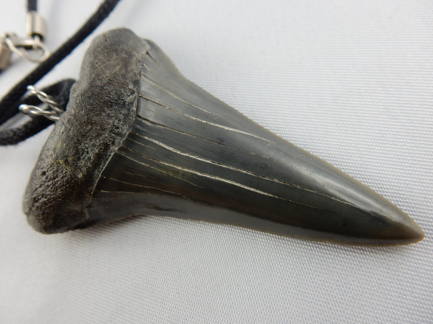 Fossil Mako Shark Tooth Necklace - big perfect
