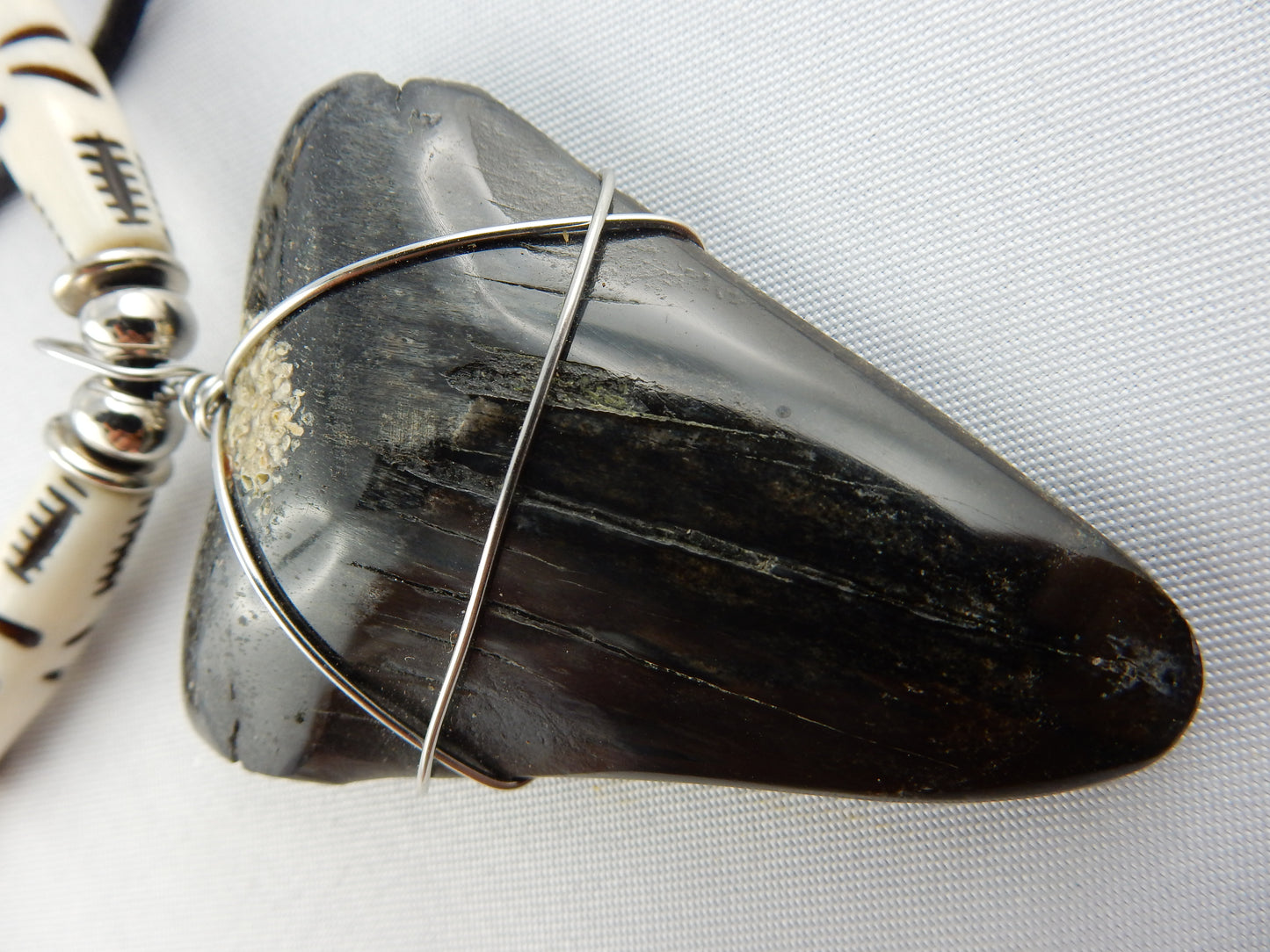 Megladon Shark Tooth Necklace