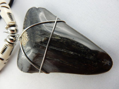 Megladon Shark Tooth Necklace
