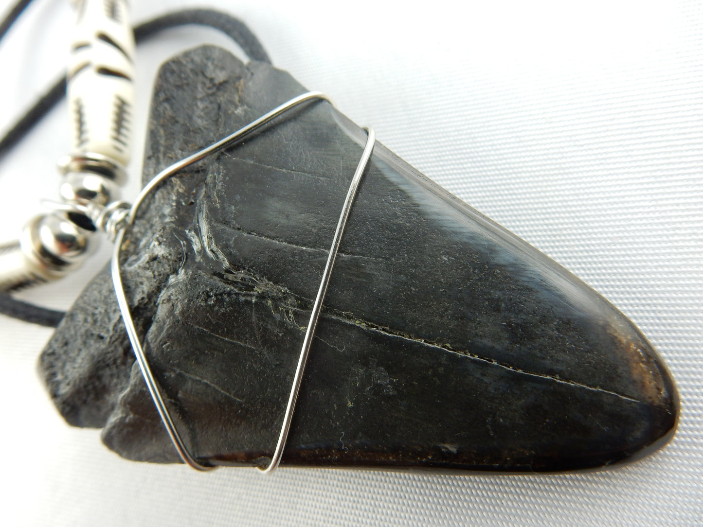 Megladon Shark Tooth Necklace