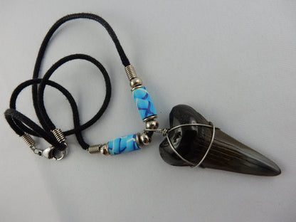 nicely polished complete mako-shaped ancient megladon shark tooth - w/blue beads - 30 million years old - necklace