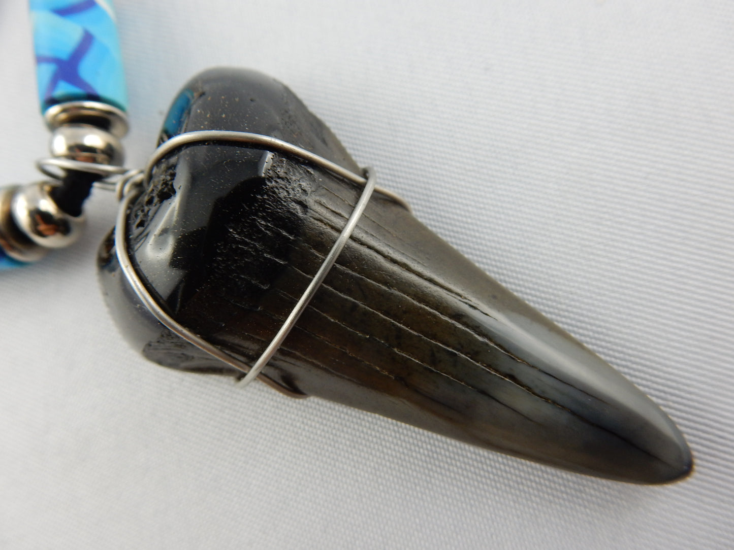 Megladon Shark Tooth Necklace