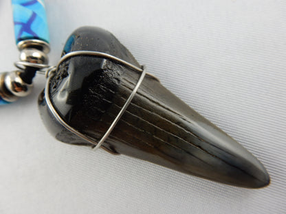 Megladon Shark Tooth Necklace