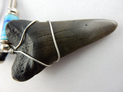 Megladon Shark Tooth Necklace