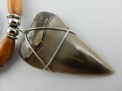 Megladon Shark Tooth Necklace