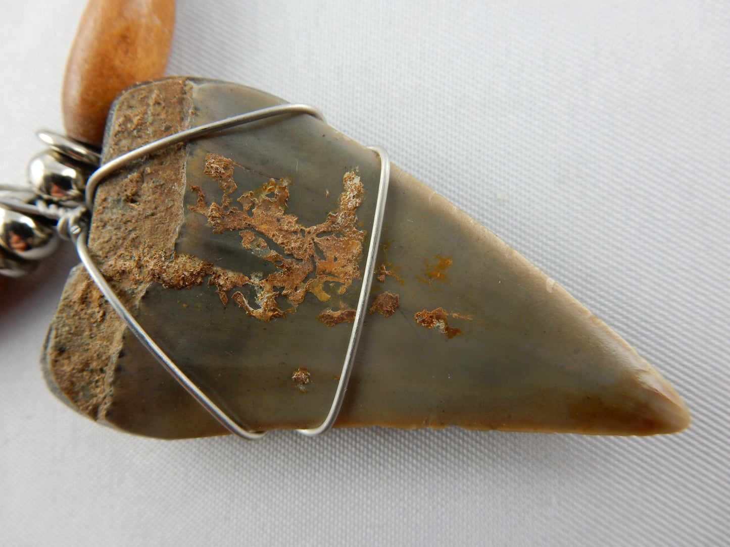 Megladon Shark Tooth Necklace