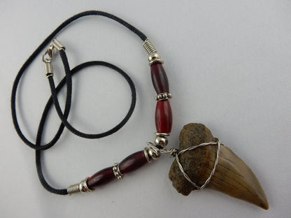 nicely curved complete megladon tan tooth - w/blood red carnelian gem beads - 30 million years old - necklace