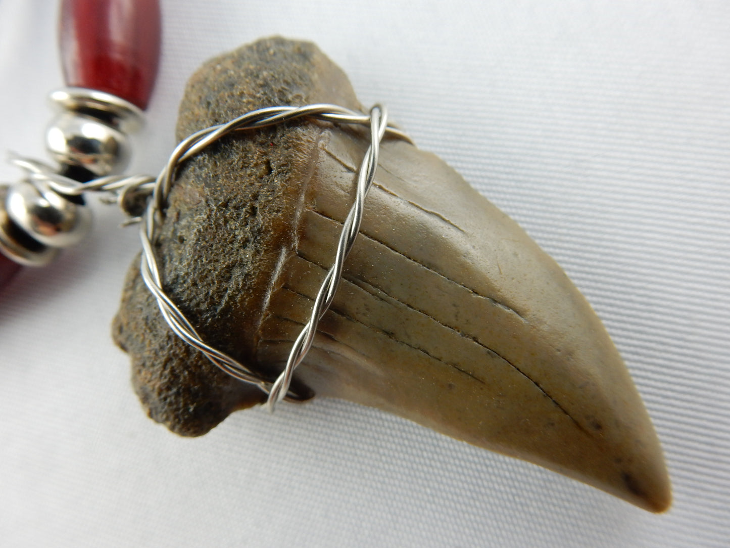 Megladon Shark Tooth Necklace