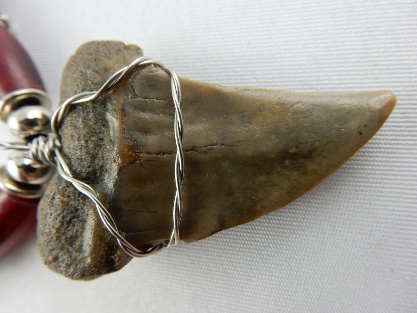 Megladon Shark Tooth Necklace