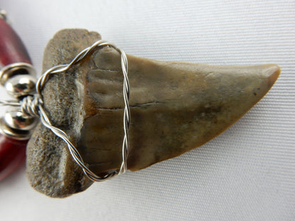 Megladon Shark Tooth Necklace