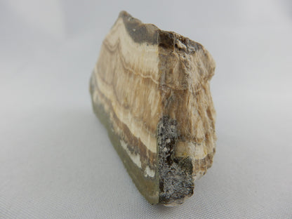 Schalenblende - classic old school