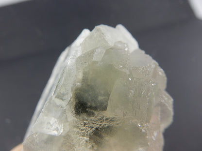 Selenite "Optical" Twin
