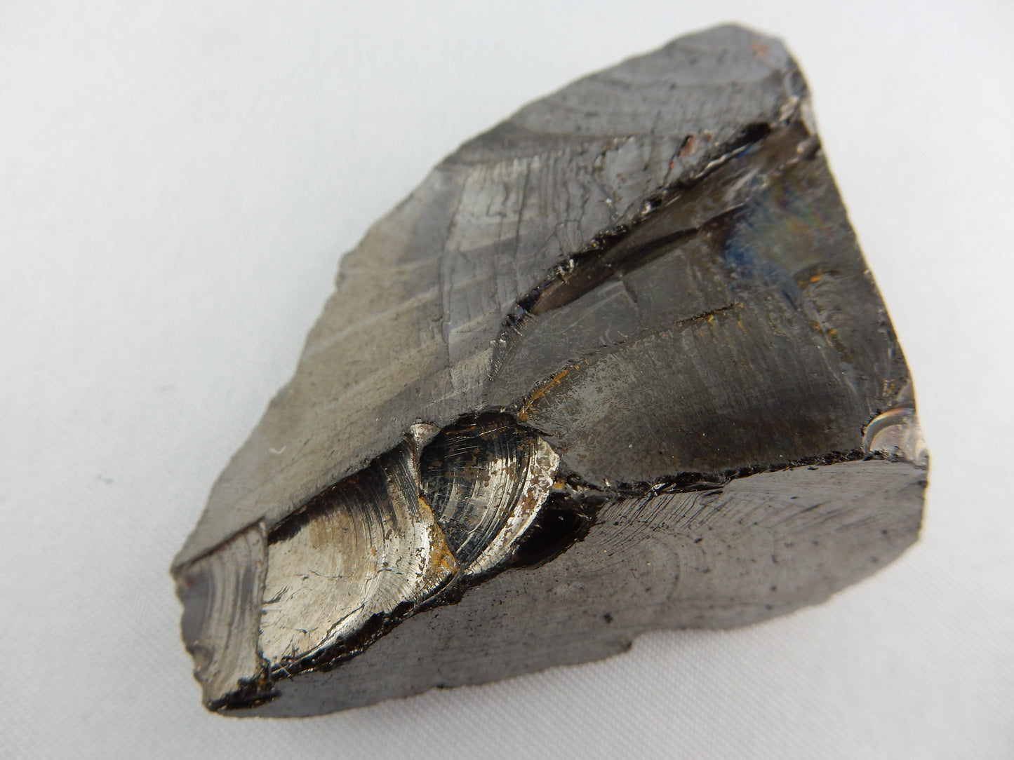 Shungite "Elite"