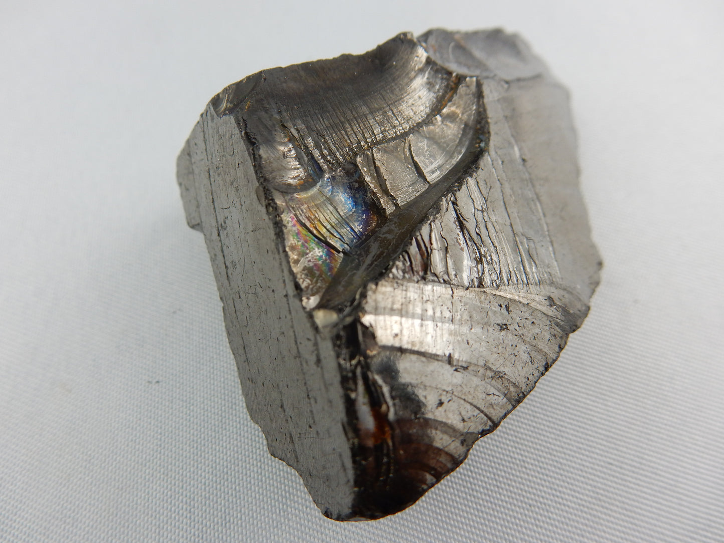 Shungite "Elite"