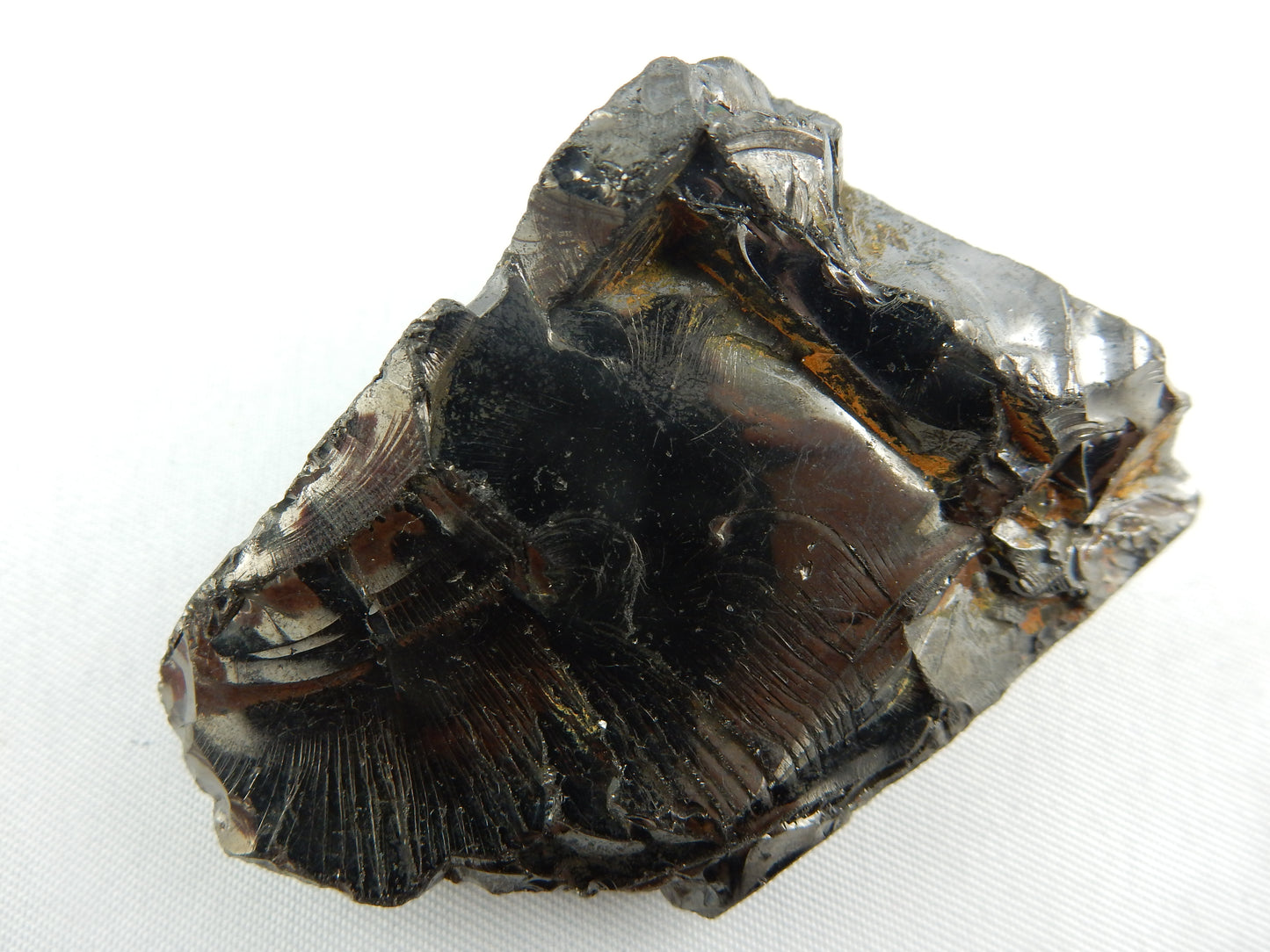 Shungite "Elite"