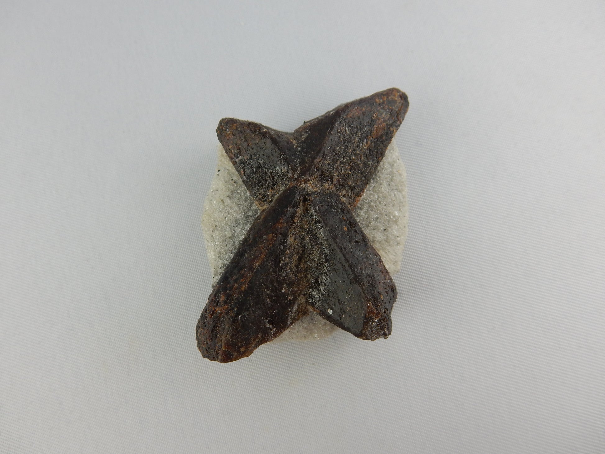 BIG "X" of Natural unusual mineral Staurolite on maxtrix of muscovite schist