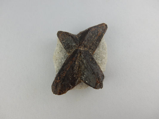 BIG "X" of Natural unusual mineral Staurolite on maxtrix of muscovite schist