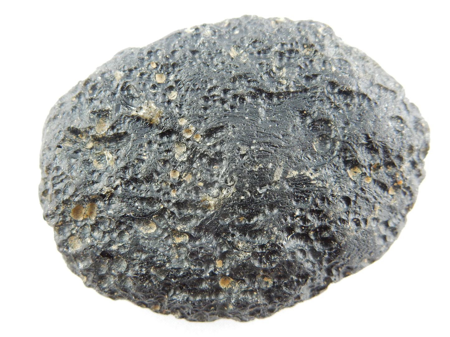 Tektite big oval