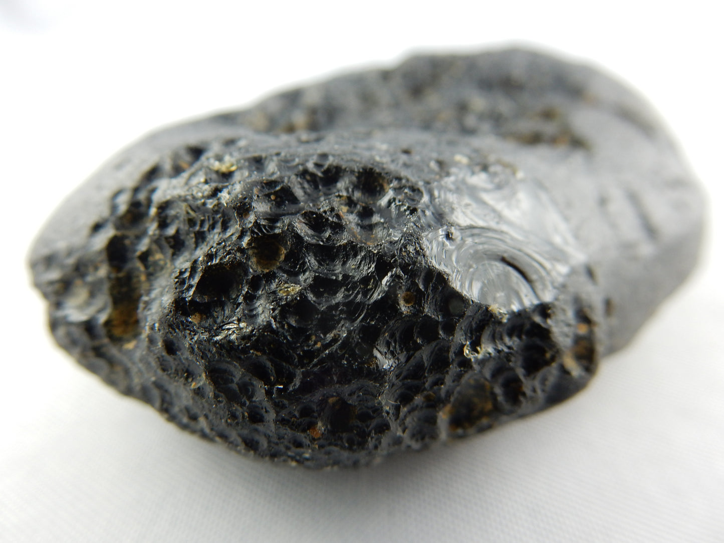 Tektite big oval
