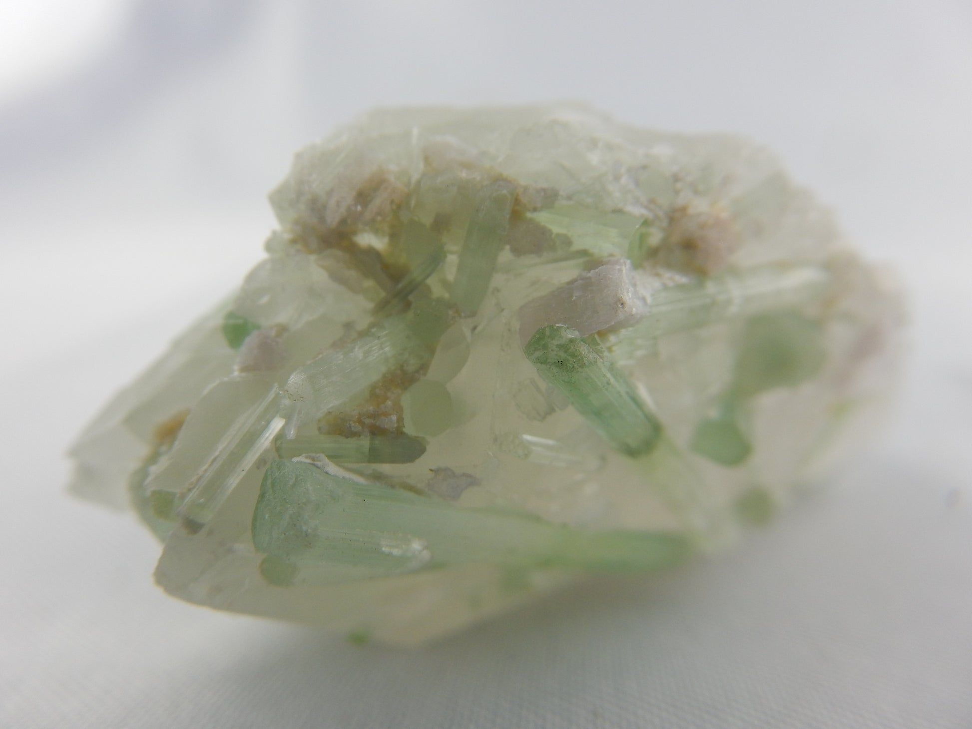 gemmy intense green multiple tourmalines - scattered on a single quartz crystal